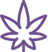Marijuana Admissions